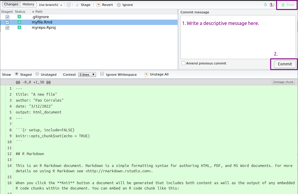 RStudio interface to see file differences, write message’s commit and push it to the remote repository.