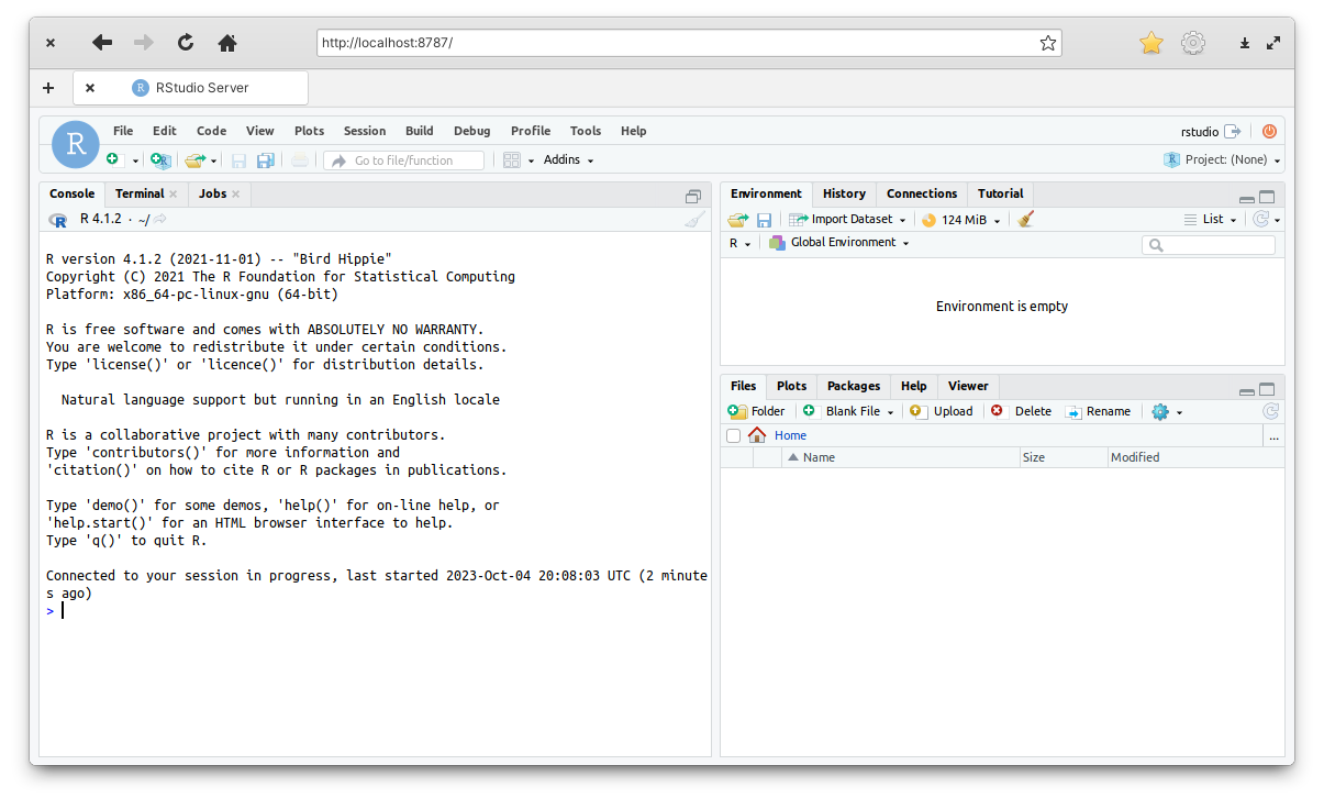 Screenshot of a browser in http://localhost:8787/ running RStudio.